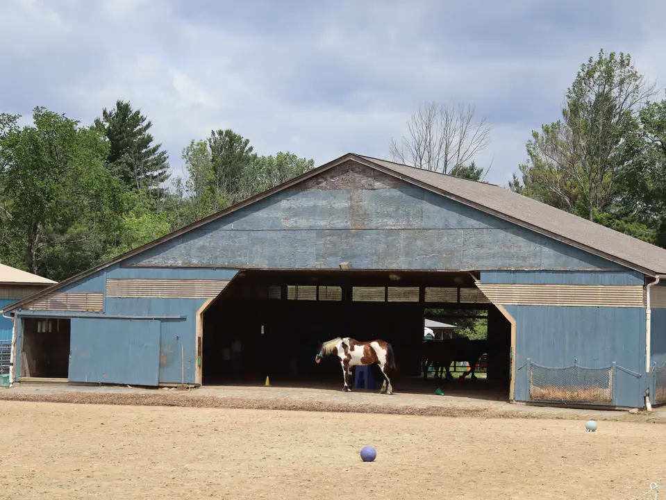 Blue Rider Stables in Egremont, MA | Berkshires Outside