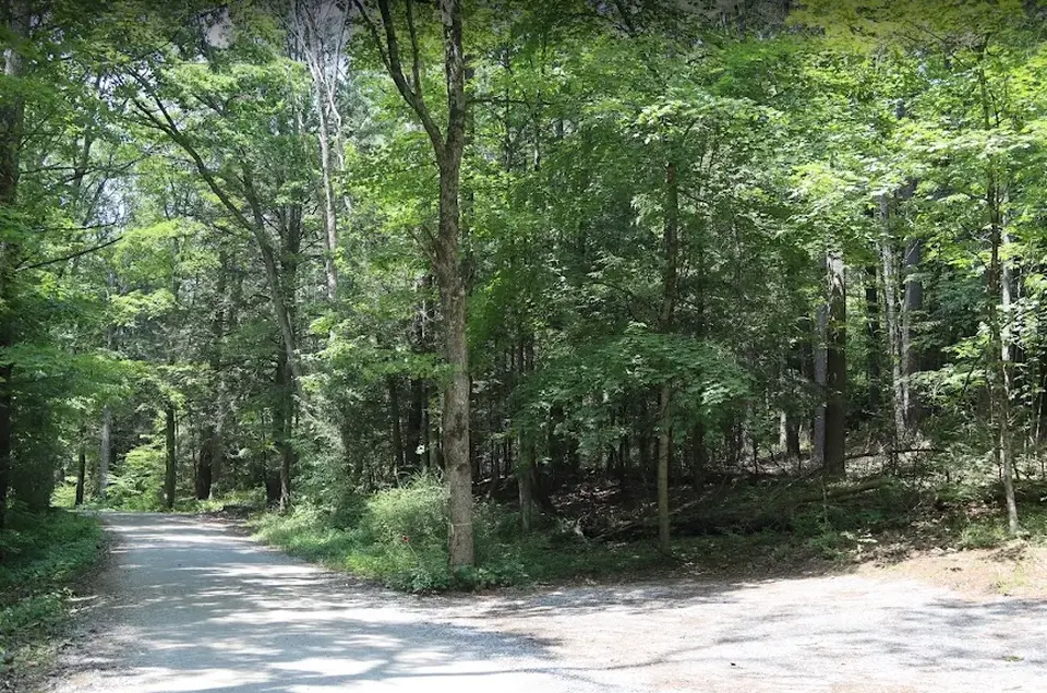 Entrance to the Bow Wow Woods parking area (right) off of Bow Wow Road