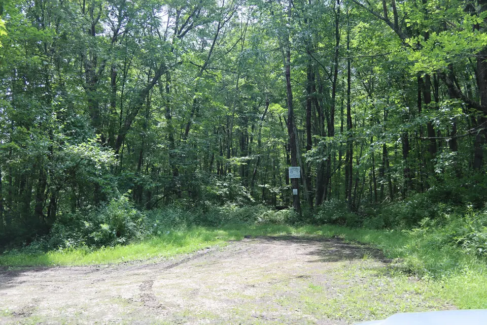 Parking area at Brush Road East.