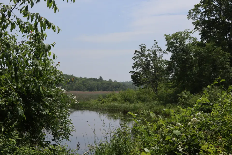 Three Mile Pond.