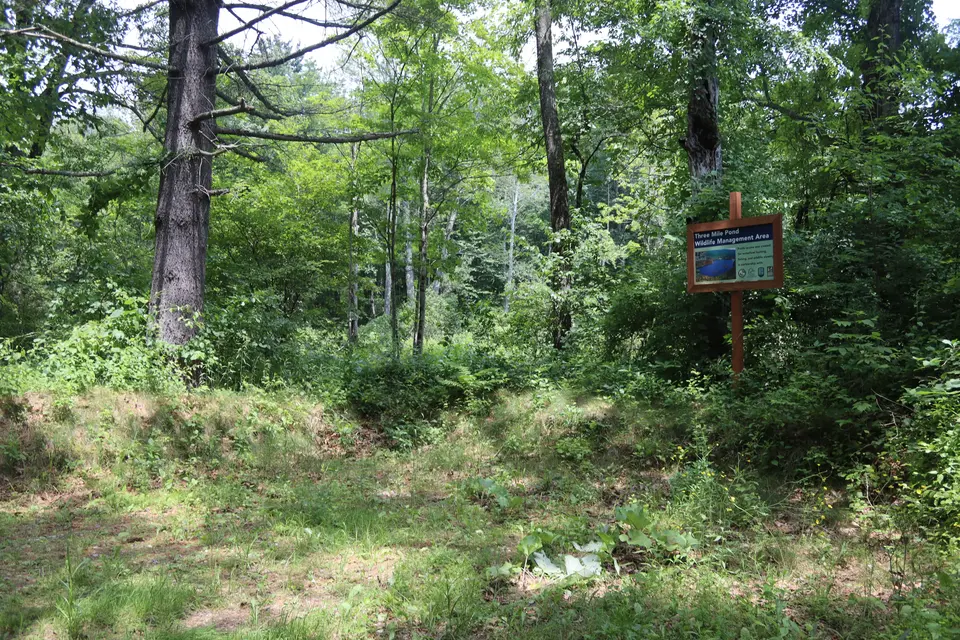 Hilly parking area for Brush Hill Road Parking West.