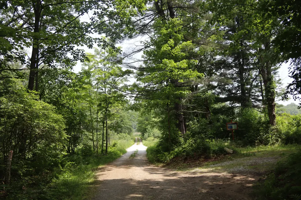 Brush Hill Road Parking East to the right off of Brush Hill Road.