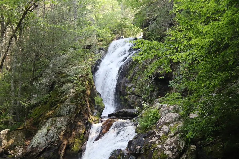 Campbell Falls.