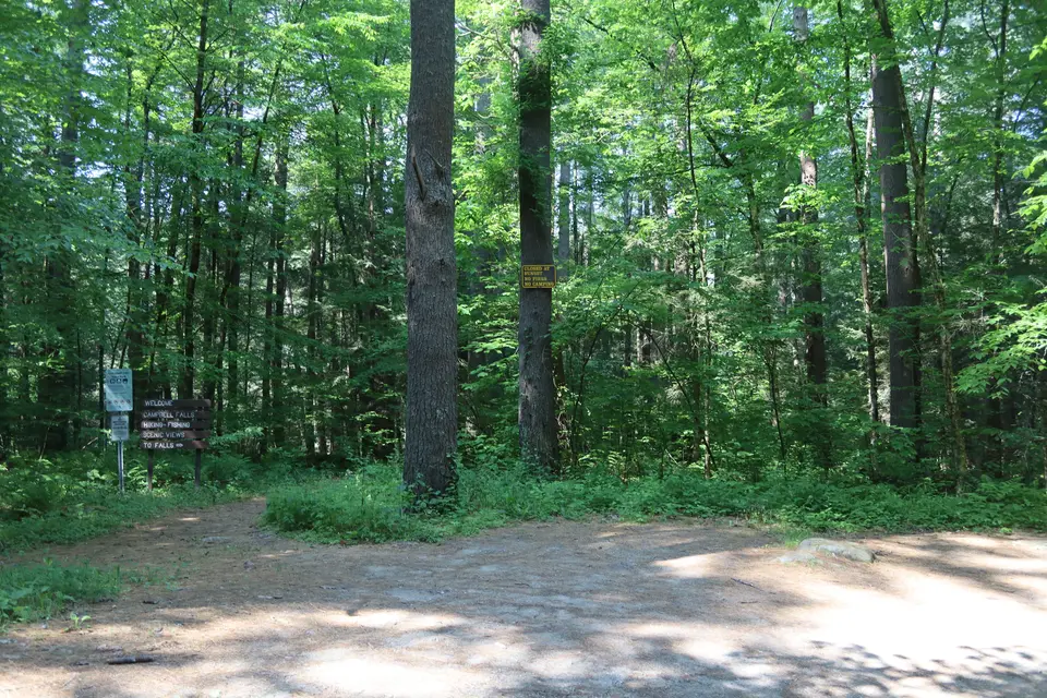 Parking area for Campbell Falls.