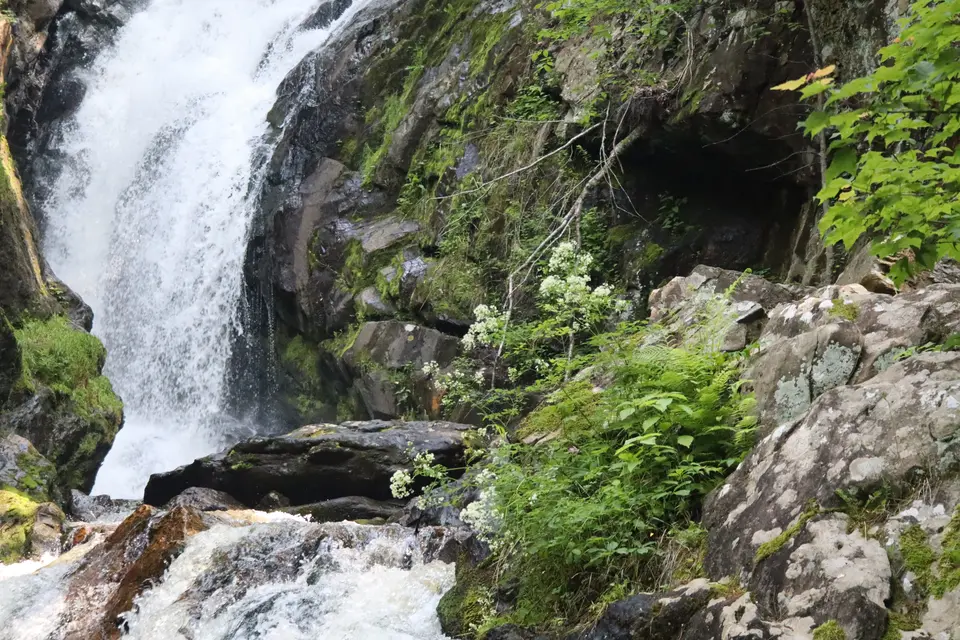 Campbell Falls.