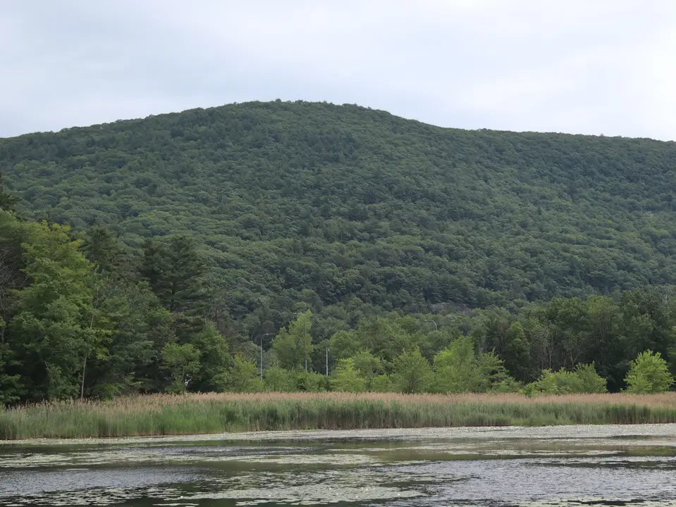 Card Pond.