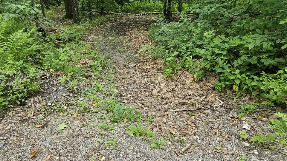 The trailhead