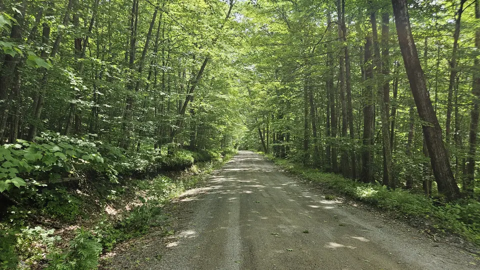 The dirt road leading to the trail.