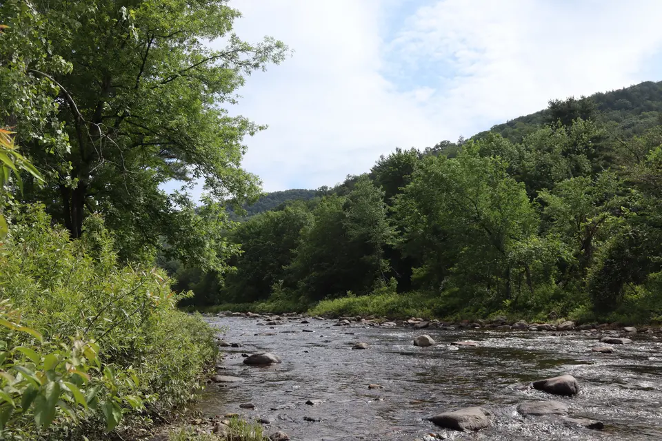 Farmington River views from Roosterville Road.