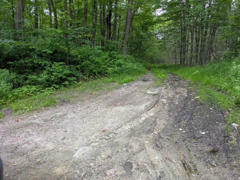 Parking area and trail entrance 