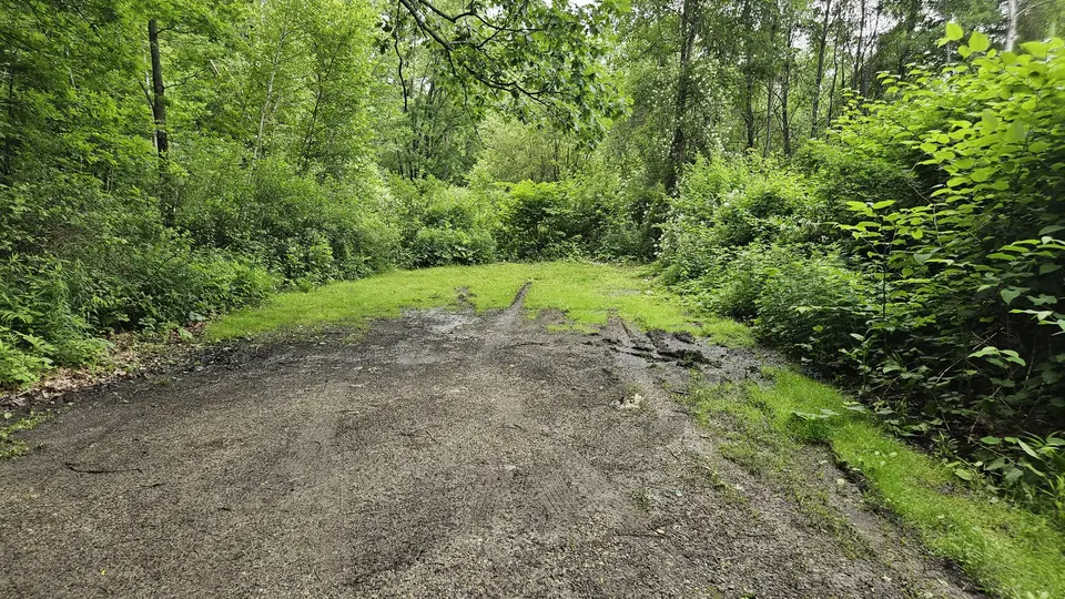 The parking area, covered in grass.