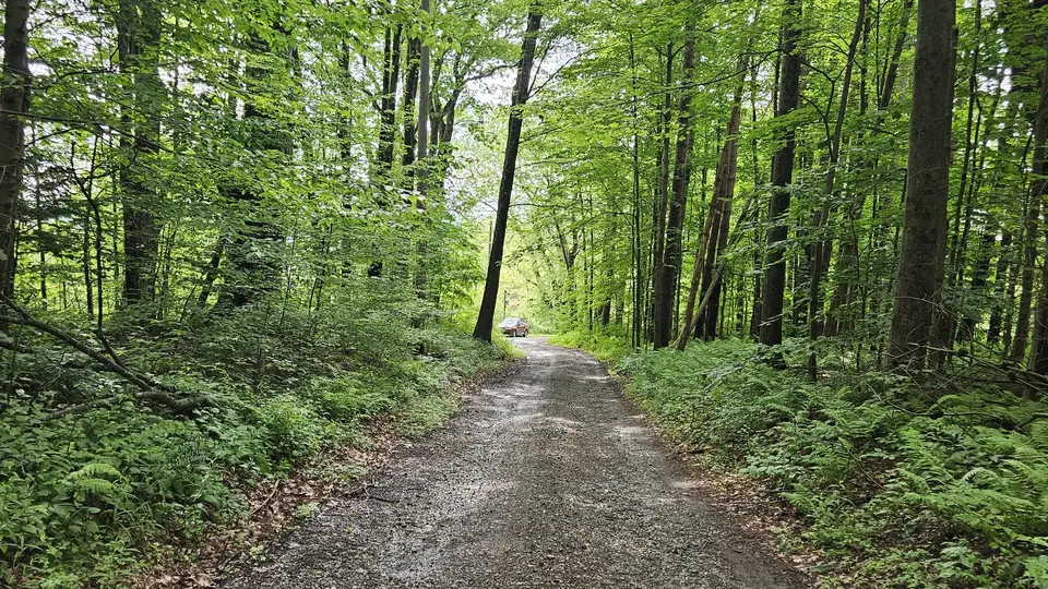 The drive up to the parking area