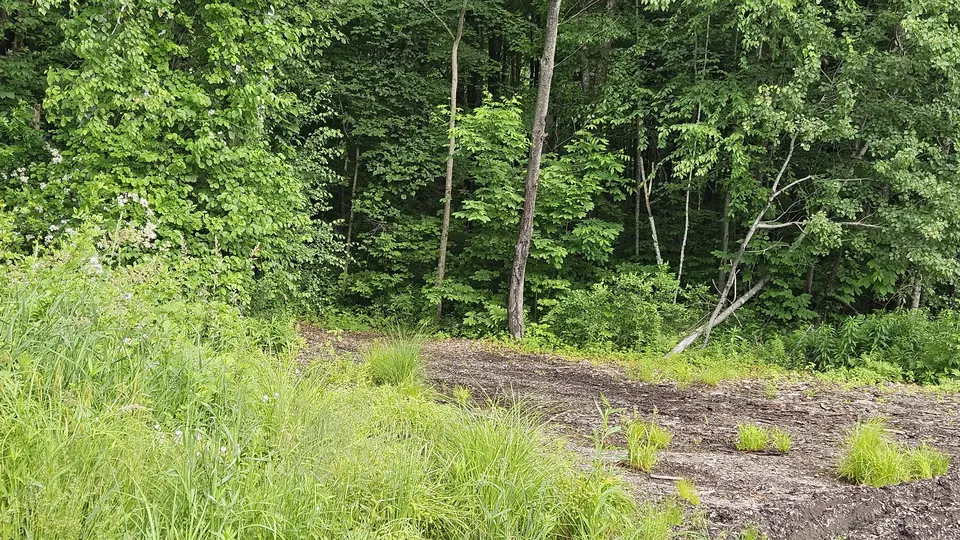 The trailhead. Parking lot on the right