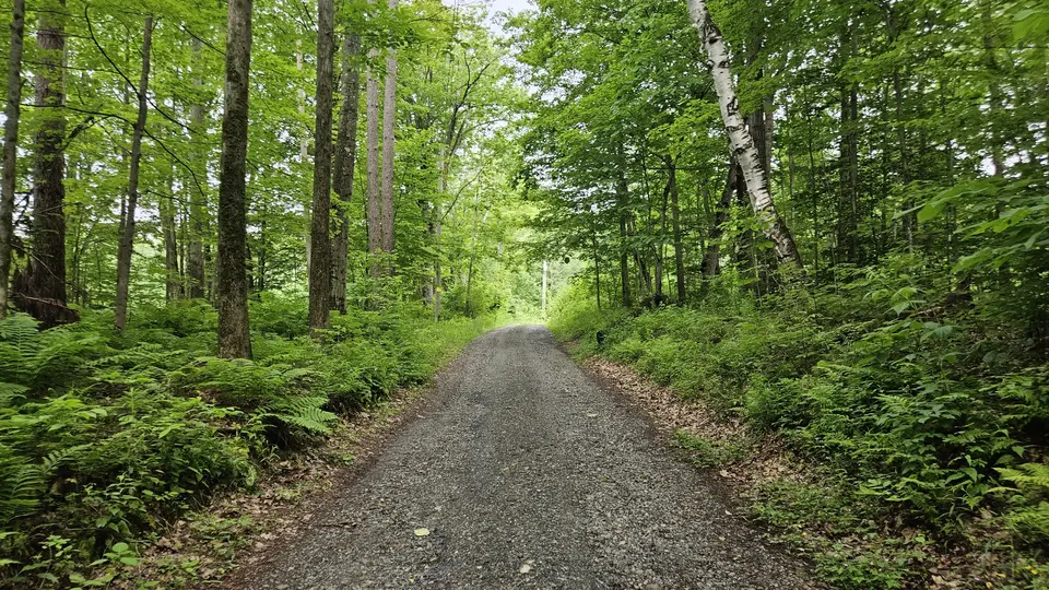 The road leading to the parking lot and trailhead