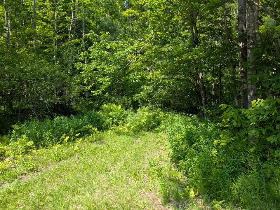 Day Mountain WMA Parking Area