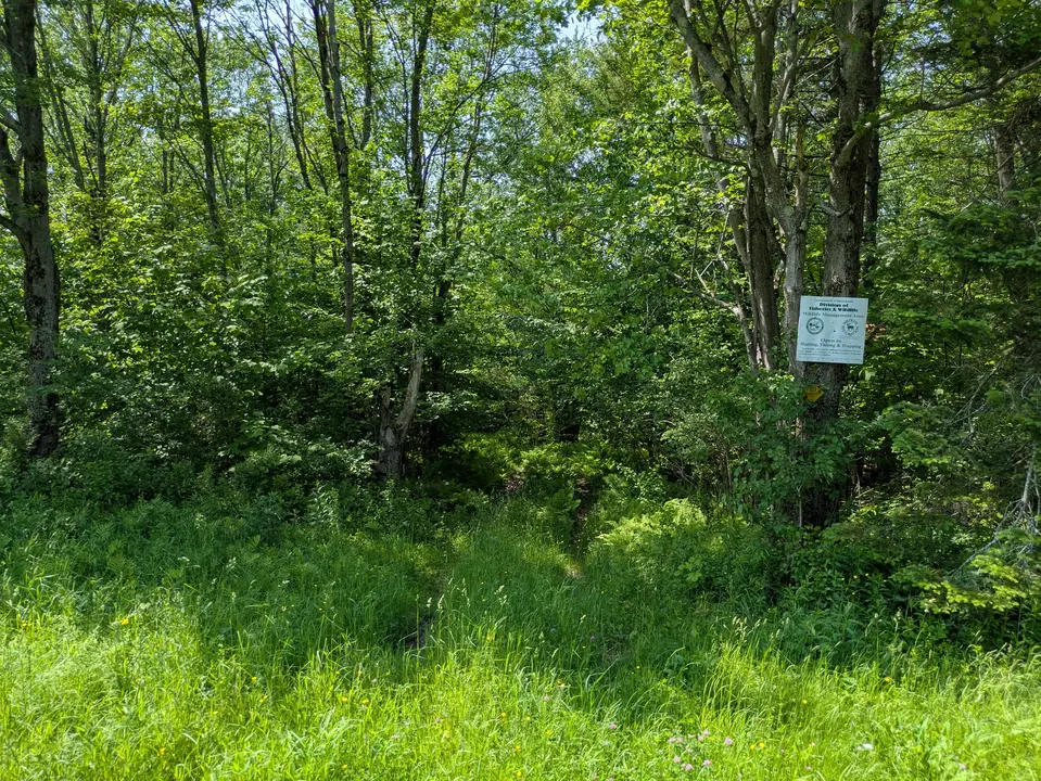 Entrance to Chatlet WMA from Driscoll Rd Parking Area