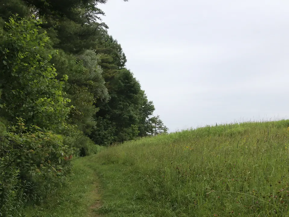 A grassy trail in Edith Wharton Park climbs a gradual hill.