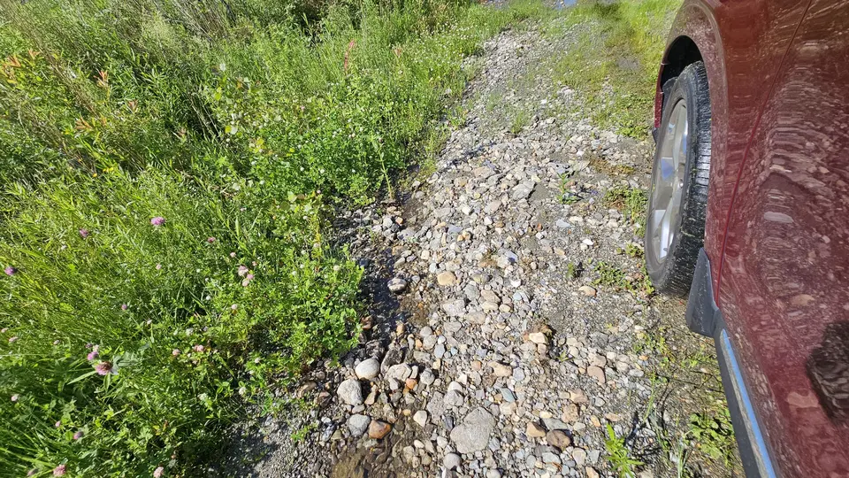 The stones on the drive up the path
