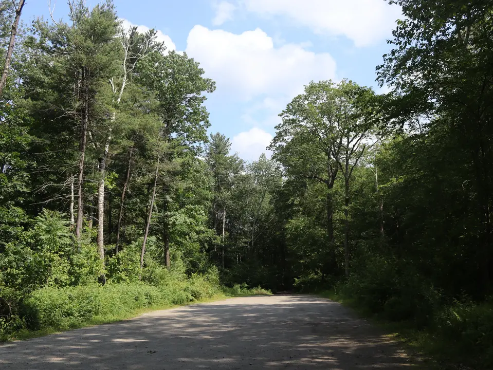 View of the parking area from the trailhead.