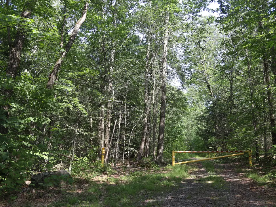 Parking area for the Finnerty trail. Access can be found just beyond the yellow gate.
