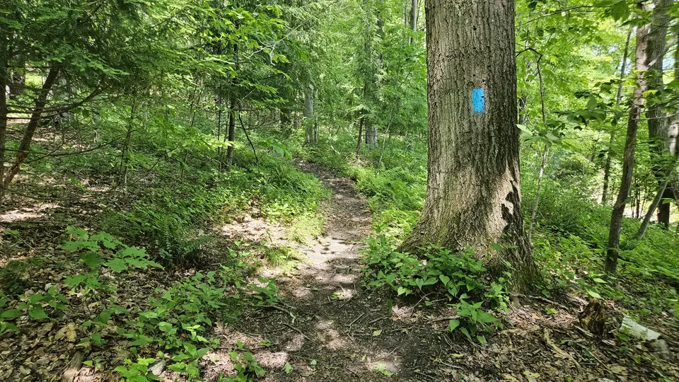The trailhead