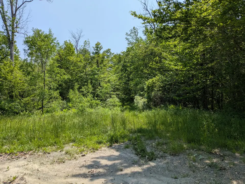 The entrance to Chalet WMA from Flintstone Road Parking Area