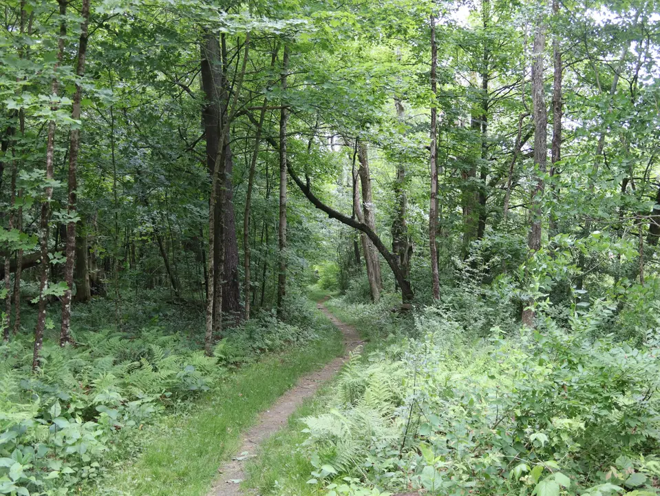 French Park in Egremont, MA | Berkshires Outside