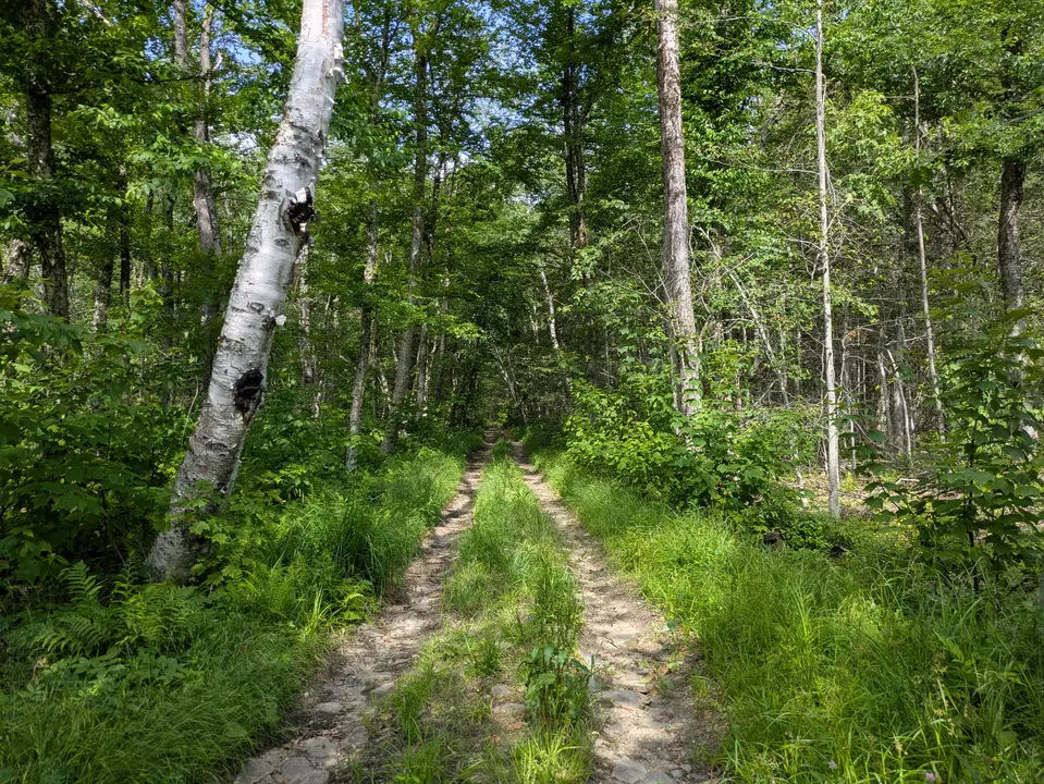 Trail entrance from parking area