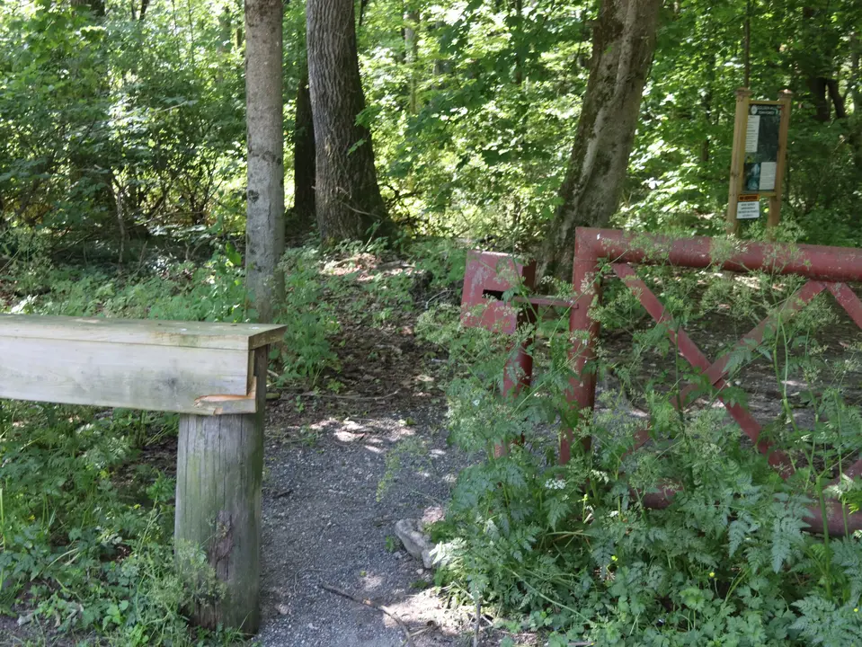 Narrow opening to the Golden Hill Forest trail.