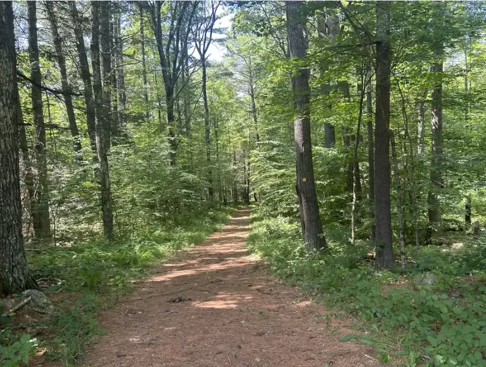 A trail runs through a flat area of the Goodnow Preserve.