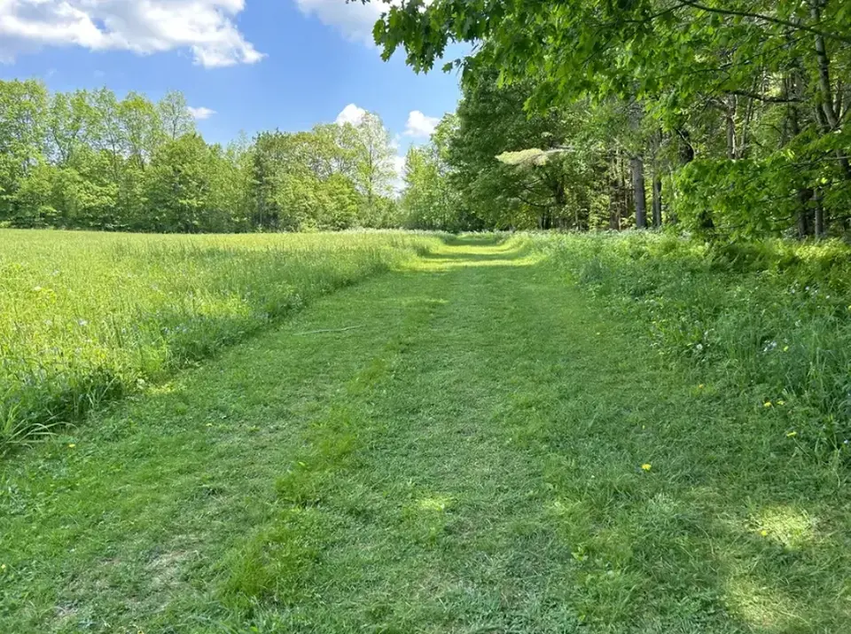 A grassy path on a slight incline, heading back up to the parking area for Gould Meadows.