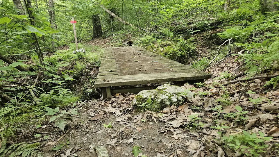 A wooden plank crossing over a particularly muddy section of the trail