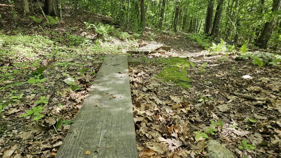 A wooden plank crossing over a particularly muddy section of the trail