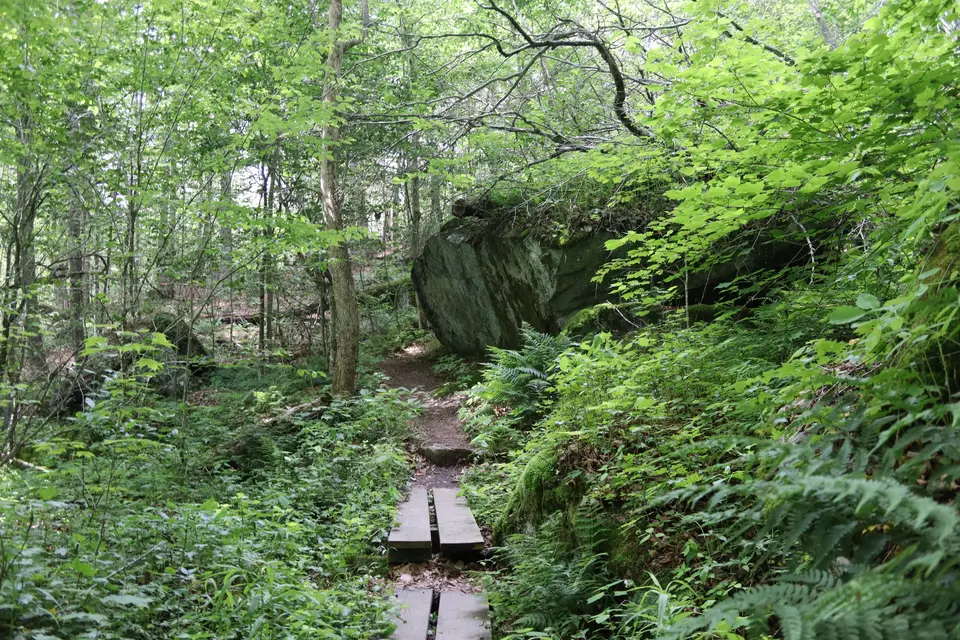 Wooden boardwalks navigate through the trail leading up to the Hanging Mountain climbing cliffs.