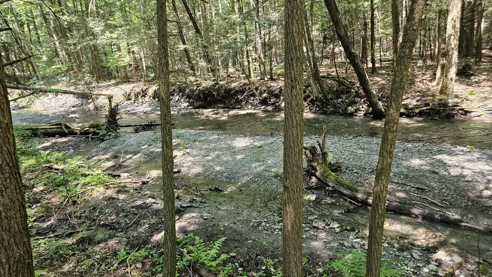 The shore by the Brook, covered in gravel