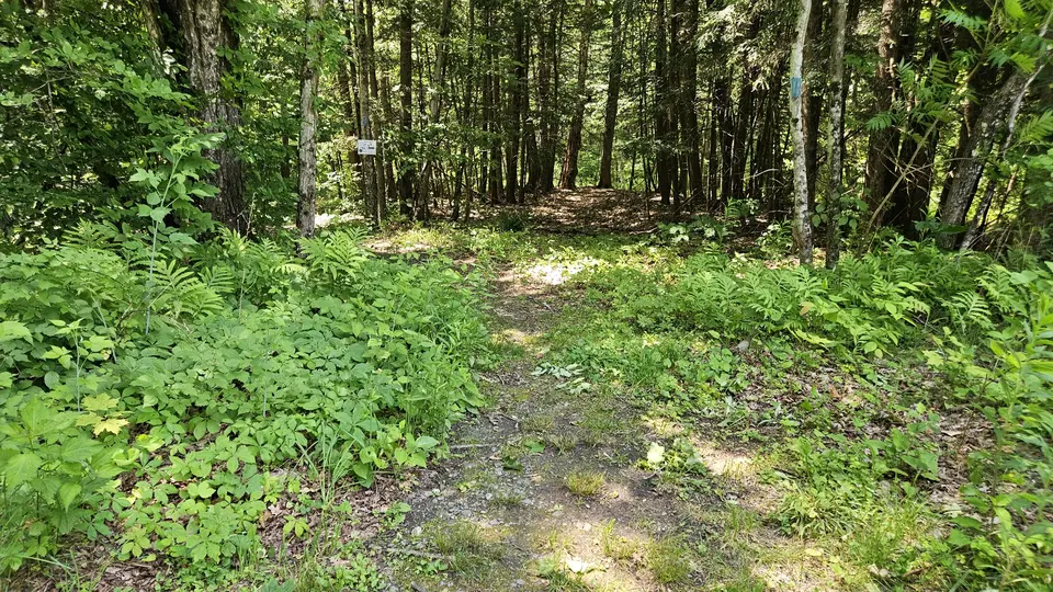 Entrance to Hemlock Brook trail from Marg. Lindley Park