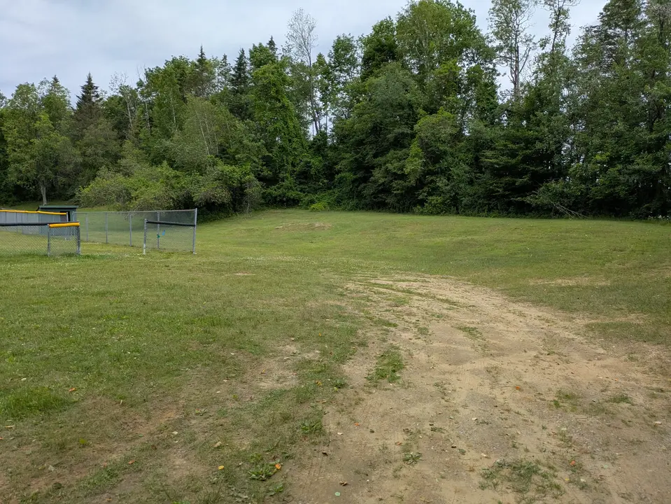 Grass parking area