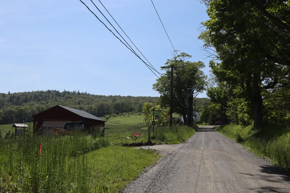 Perry Peak Road, with the entrance to Hollow Field Reserves off to the right.