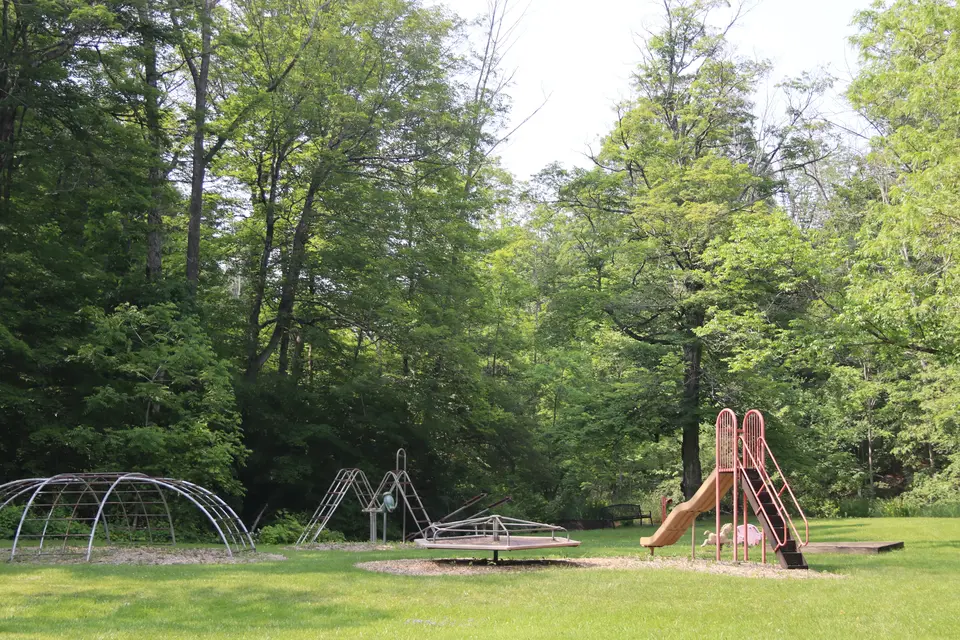 Playground features over woodchips in Interlaken Park.