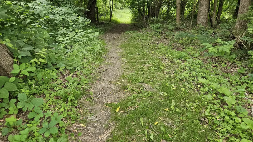 The uneven grass path to the boat launch.