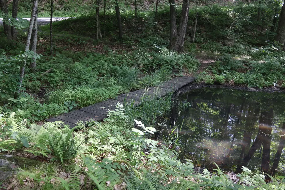 A boardwalk over a marshy area required to access the Joffe nature sanctuary trail.