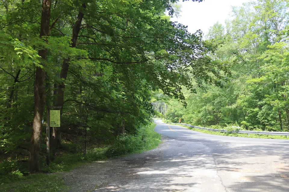 Joffe Nature Sanctuary entrance off Cagney Hill Road.