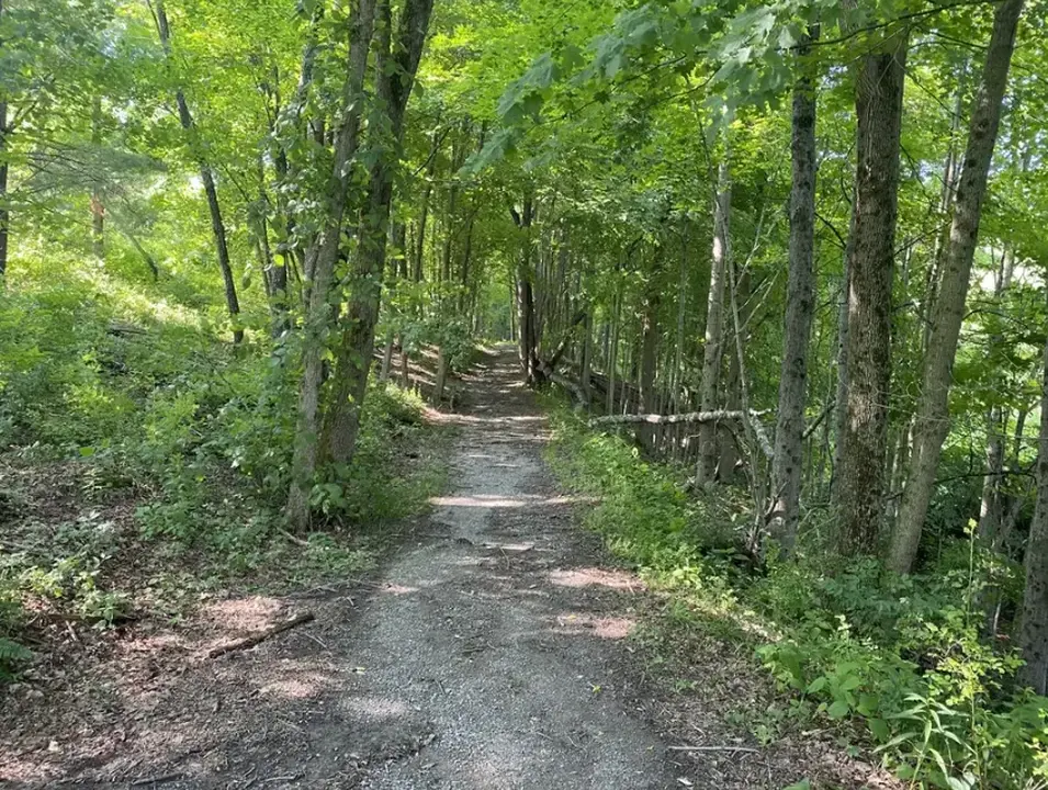 A section of the Jug End Road trail.