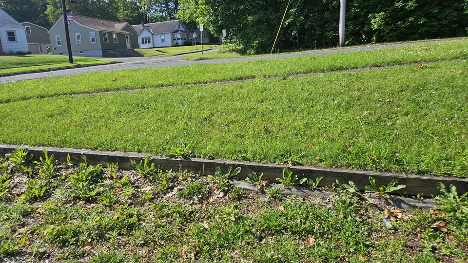 A 2'' step from the parking lot into the playground.