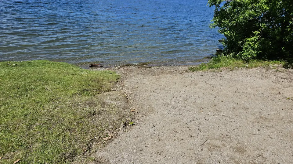 The site