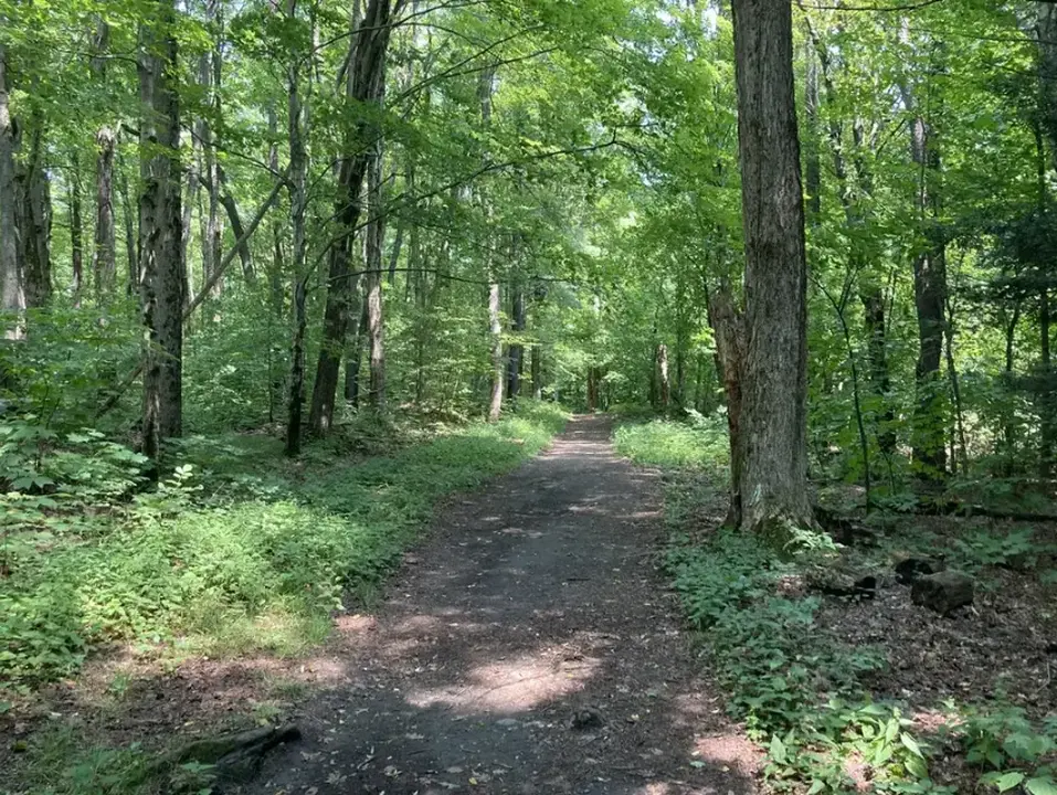 The Coakley Trail in Kennedy Park.