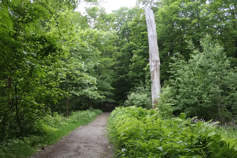 The Woolsey trail.