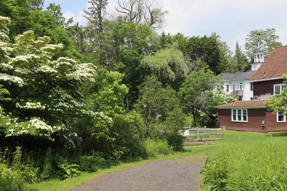A wide gravel leads down a slight hill to access the Gazebo and community garden.