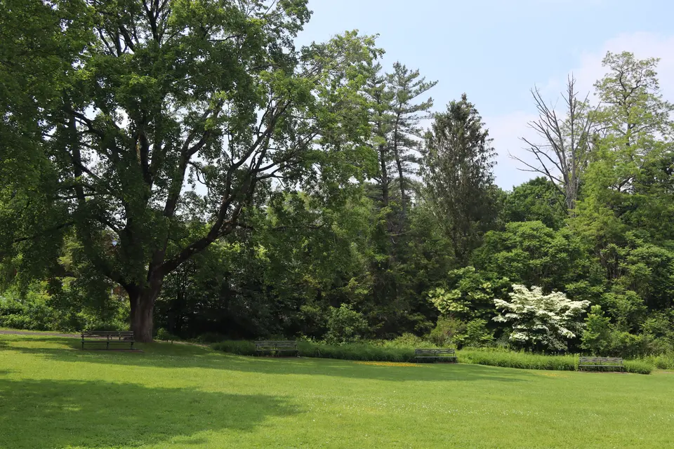 Lilac Park.
