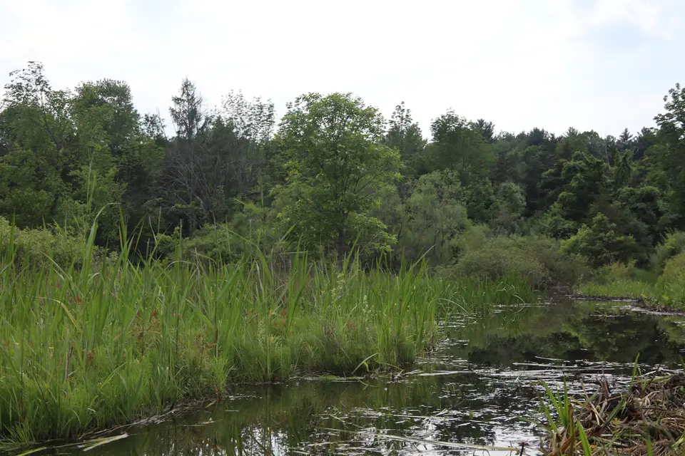 Lime Kiln Farm Wildlife Sanctuary in Sheffield, MA | Berkshires Outside